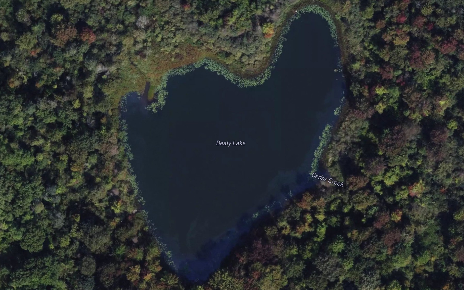 Satellite map of the Beaty Lake