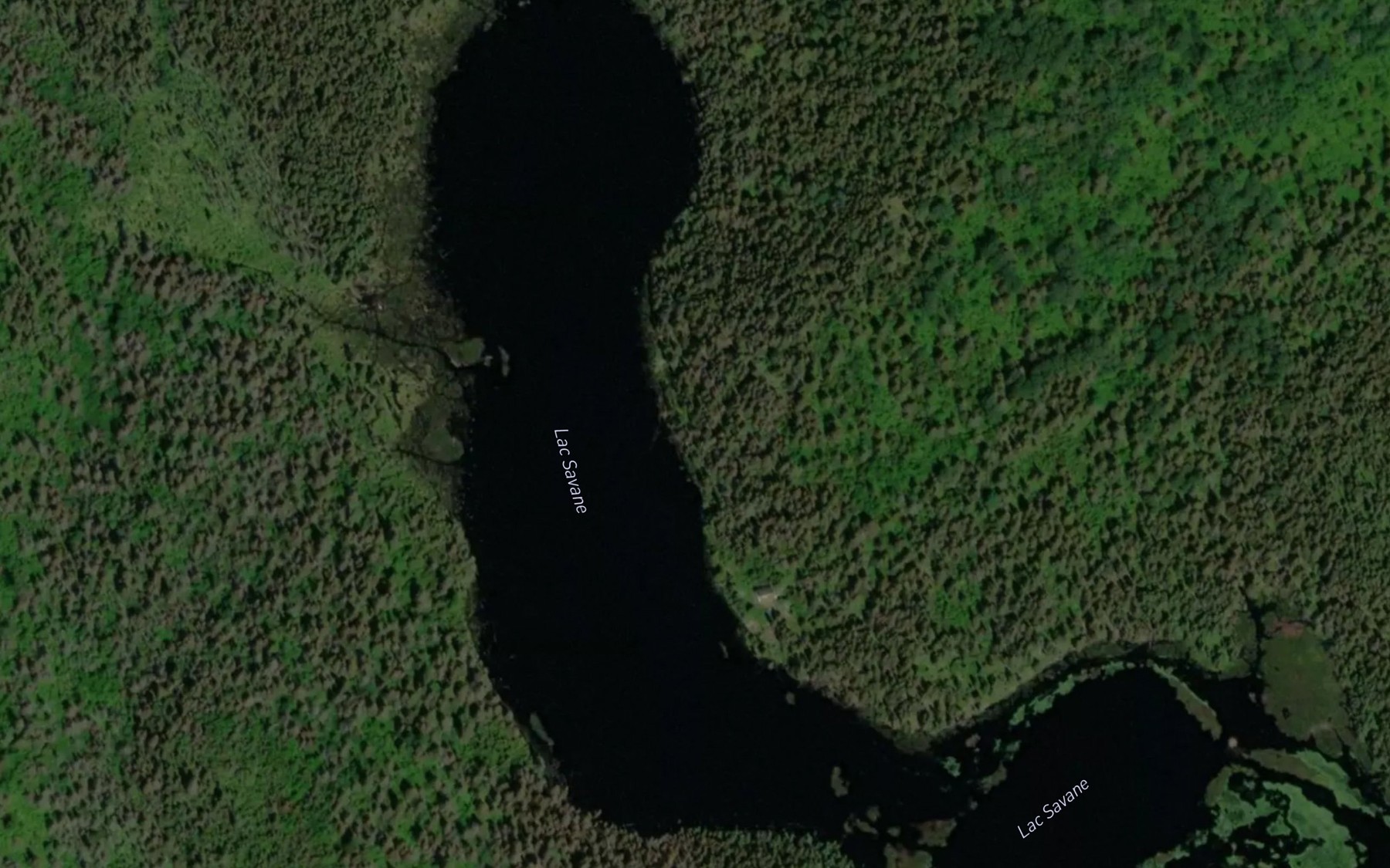 Satellite map of the Lac Savane