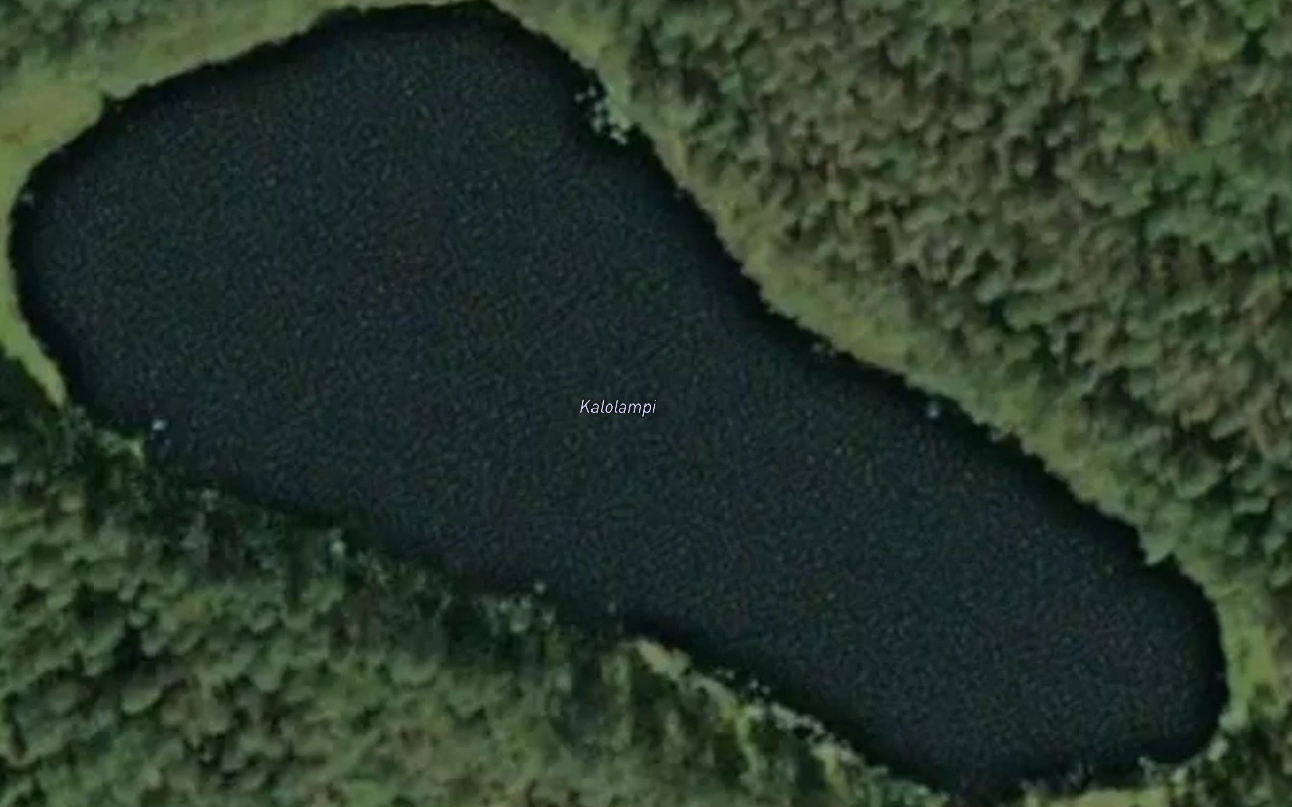 Kalolampi