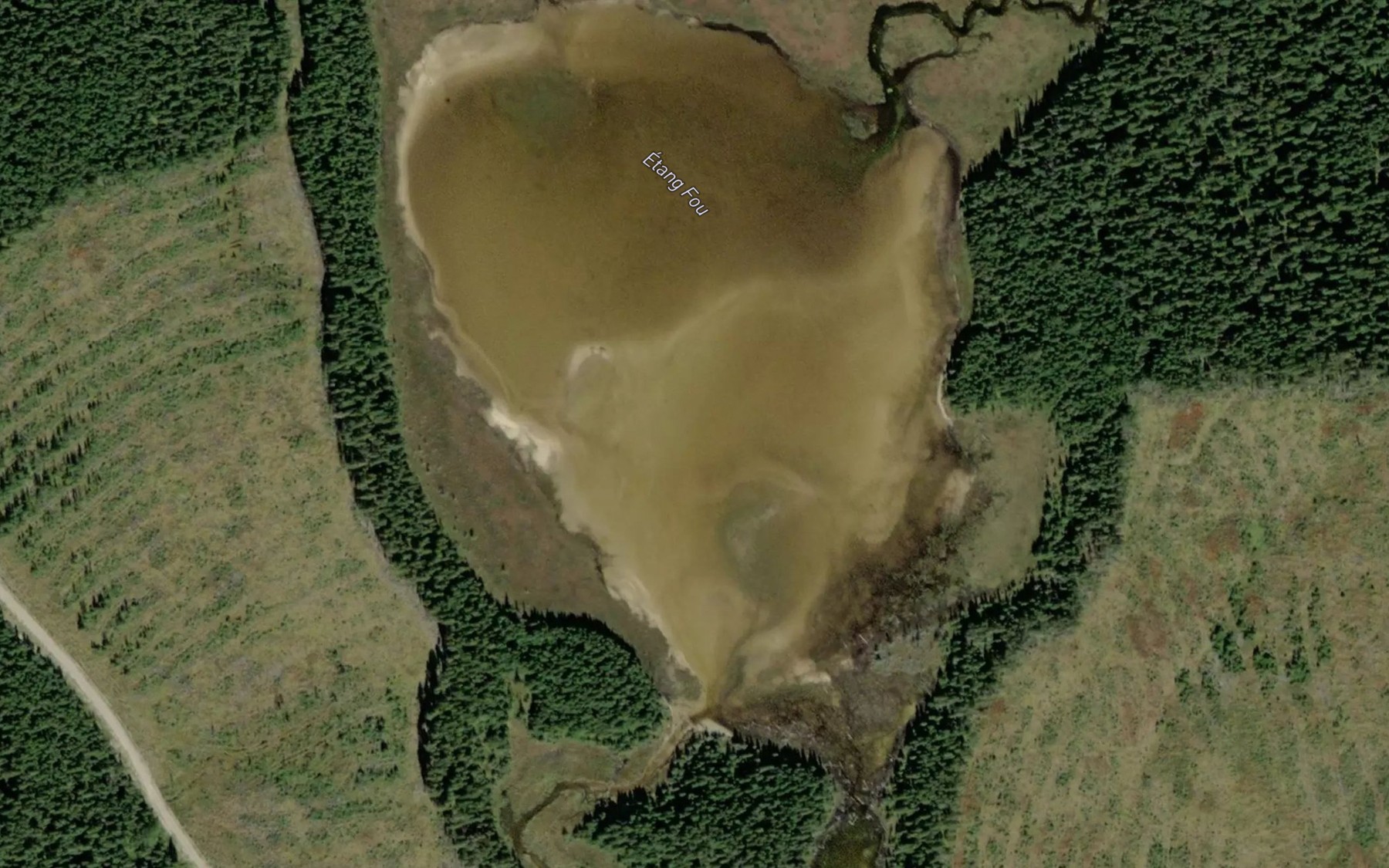 Satellite map of the Etang Fou