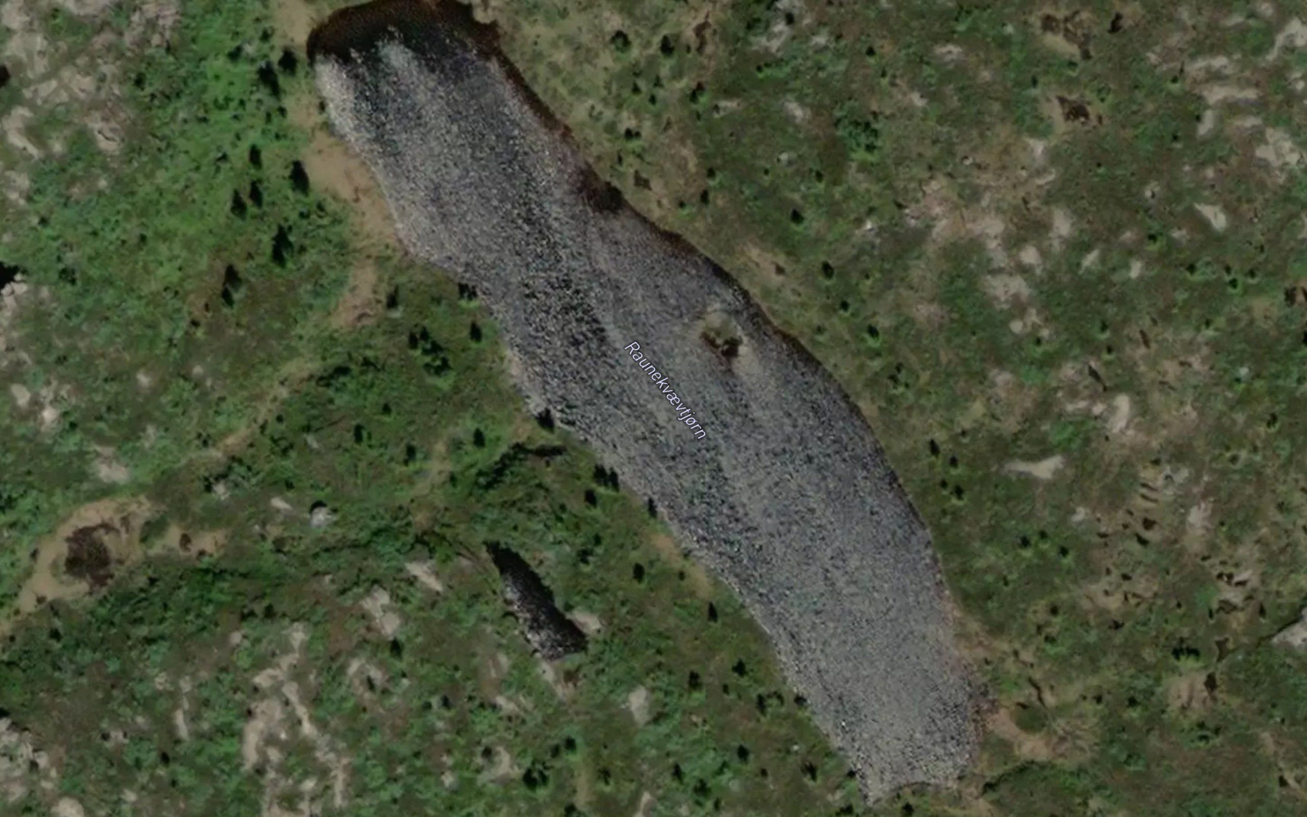 Raunekvaevtjorn