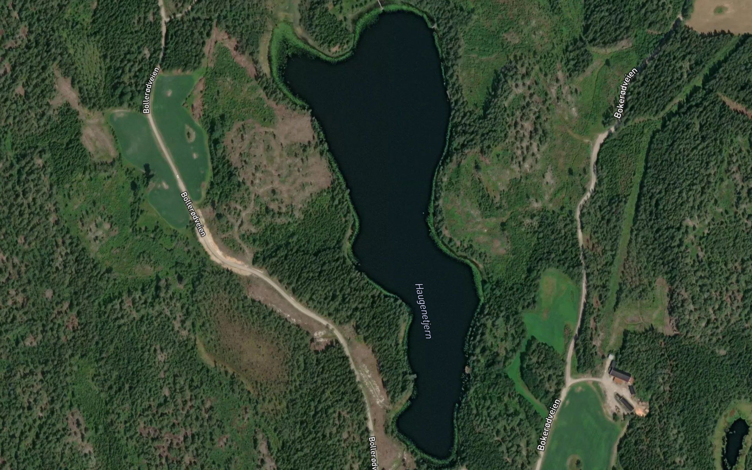 Hauganetjernet
