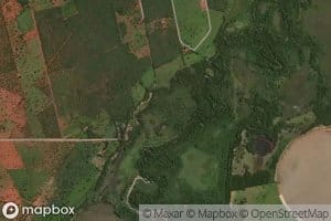 Corrego da Vereda Grande dos Carneiros