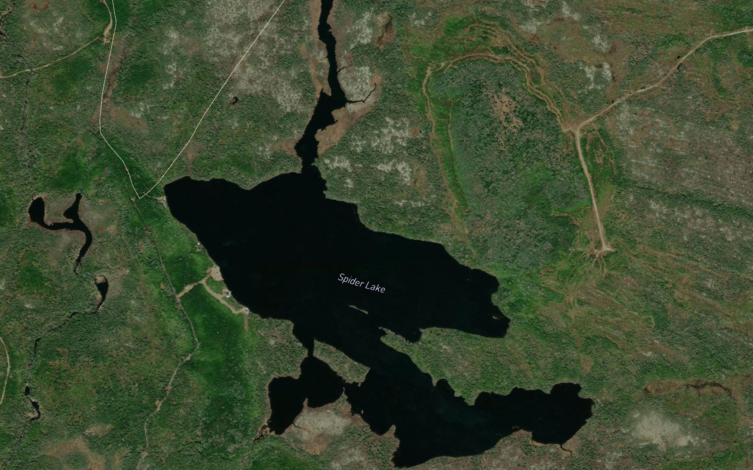 Spider Lake