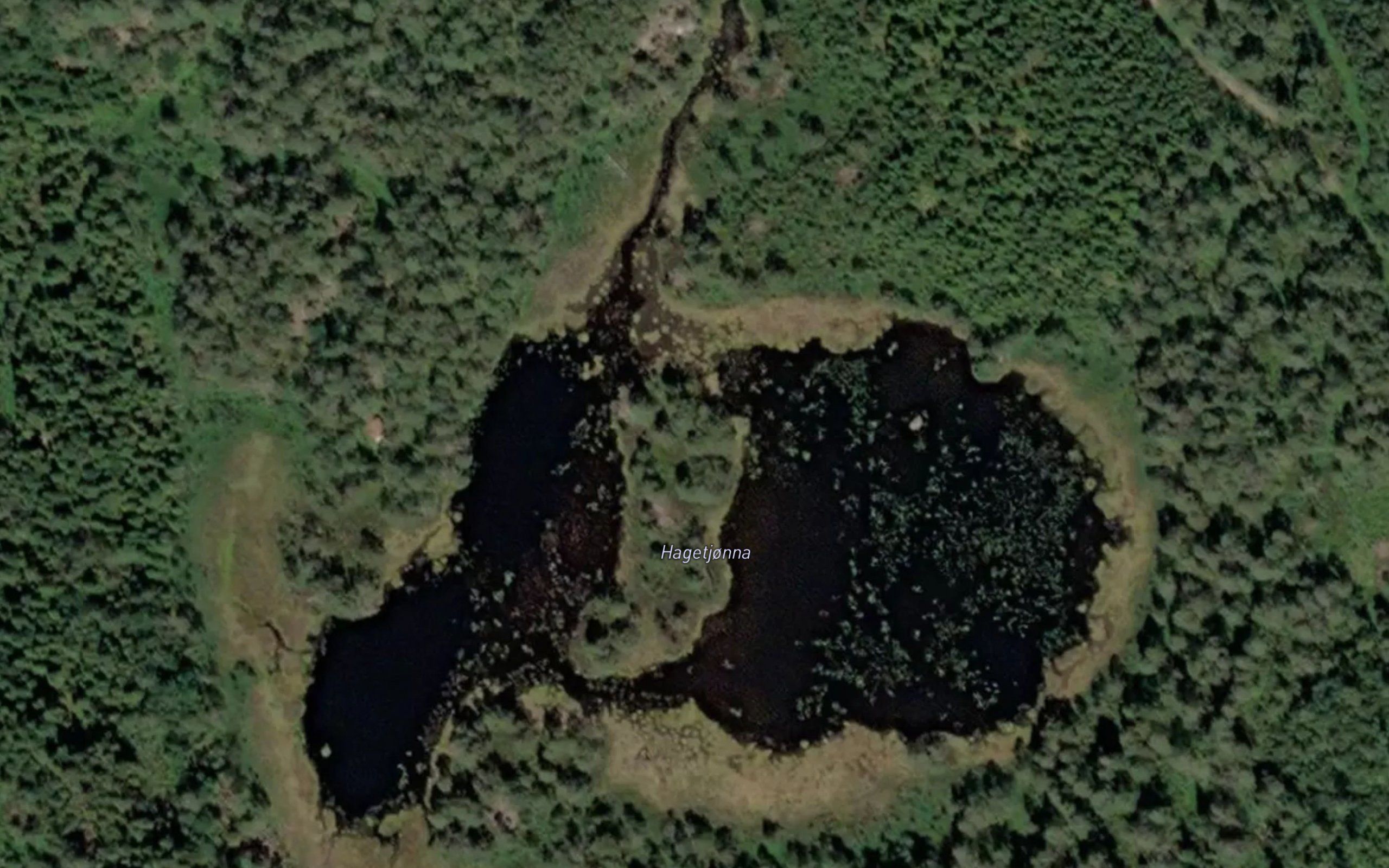 Hagetjonna