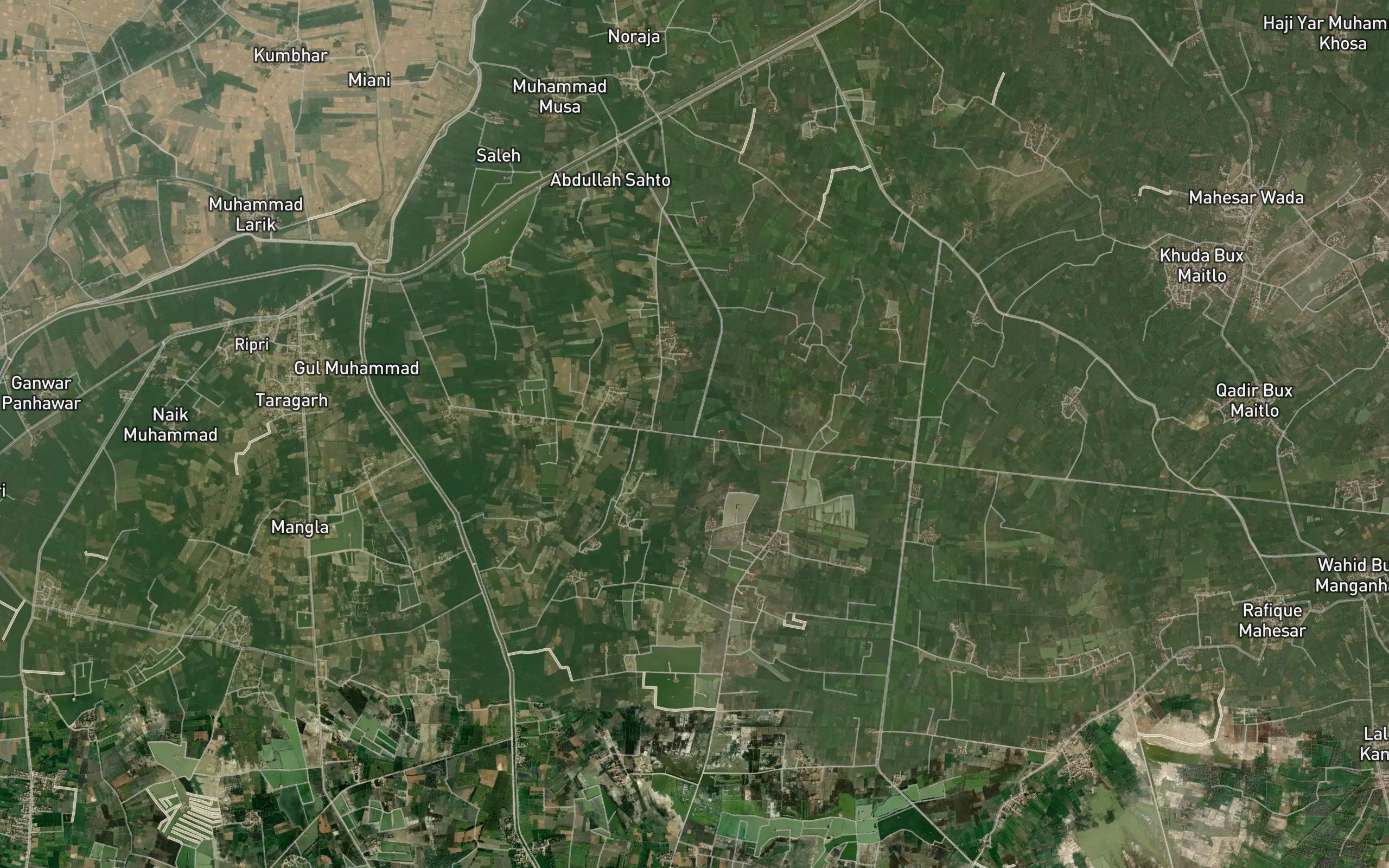 Turi Distributary