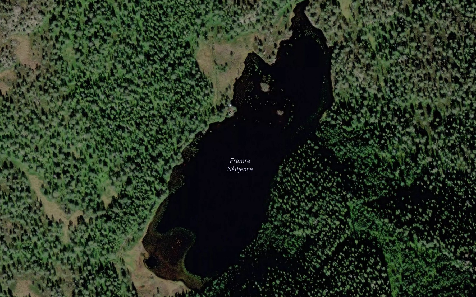 Satellite map of the Fremre Naltjonna