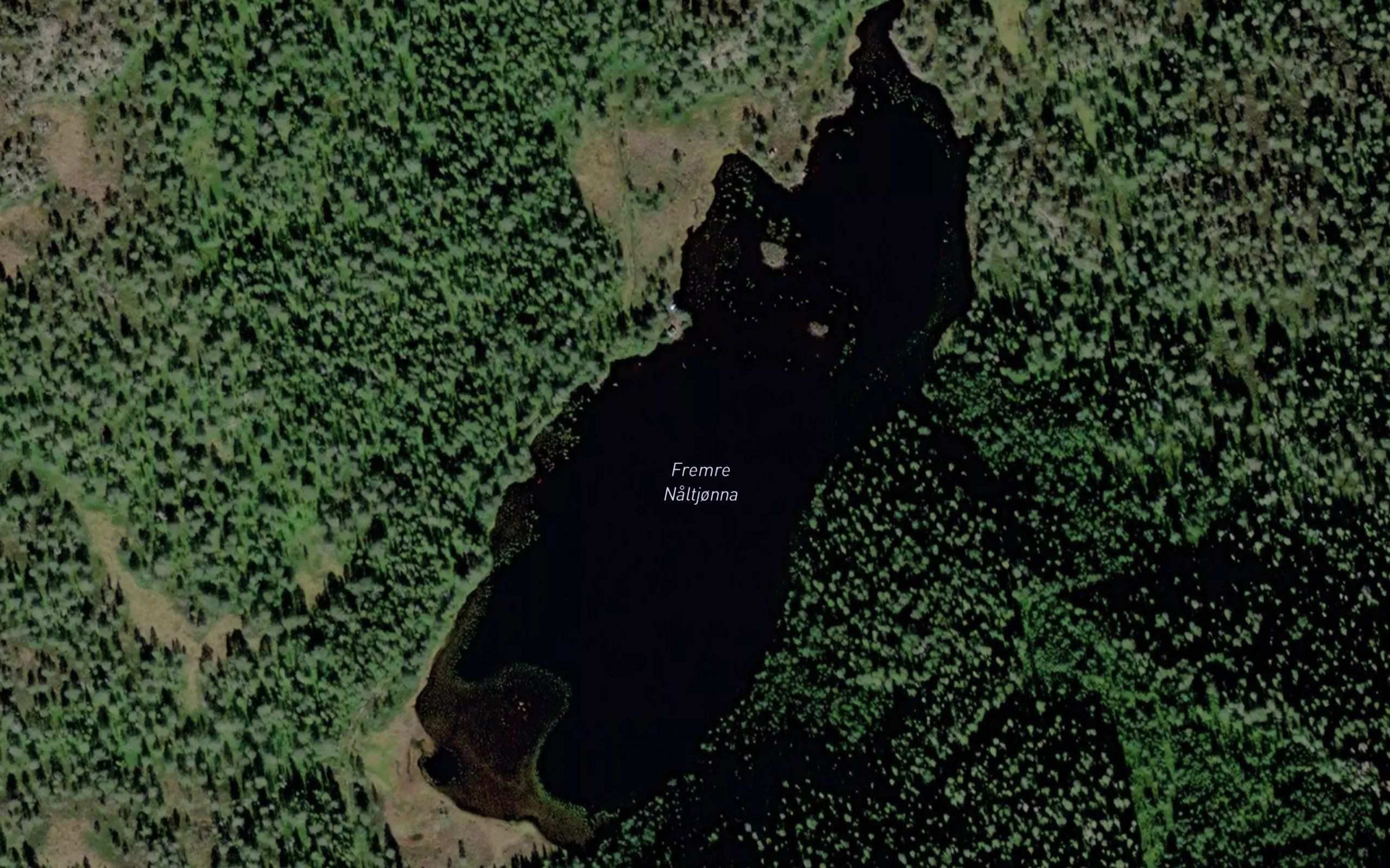 Fremre Naltjonna