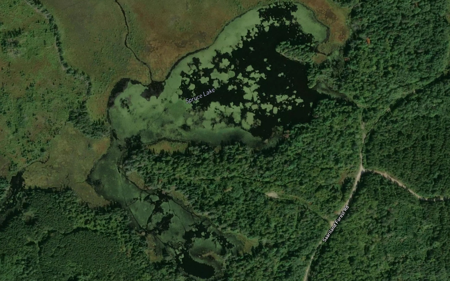 Satellite map of the Spruce Lake