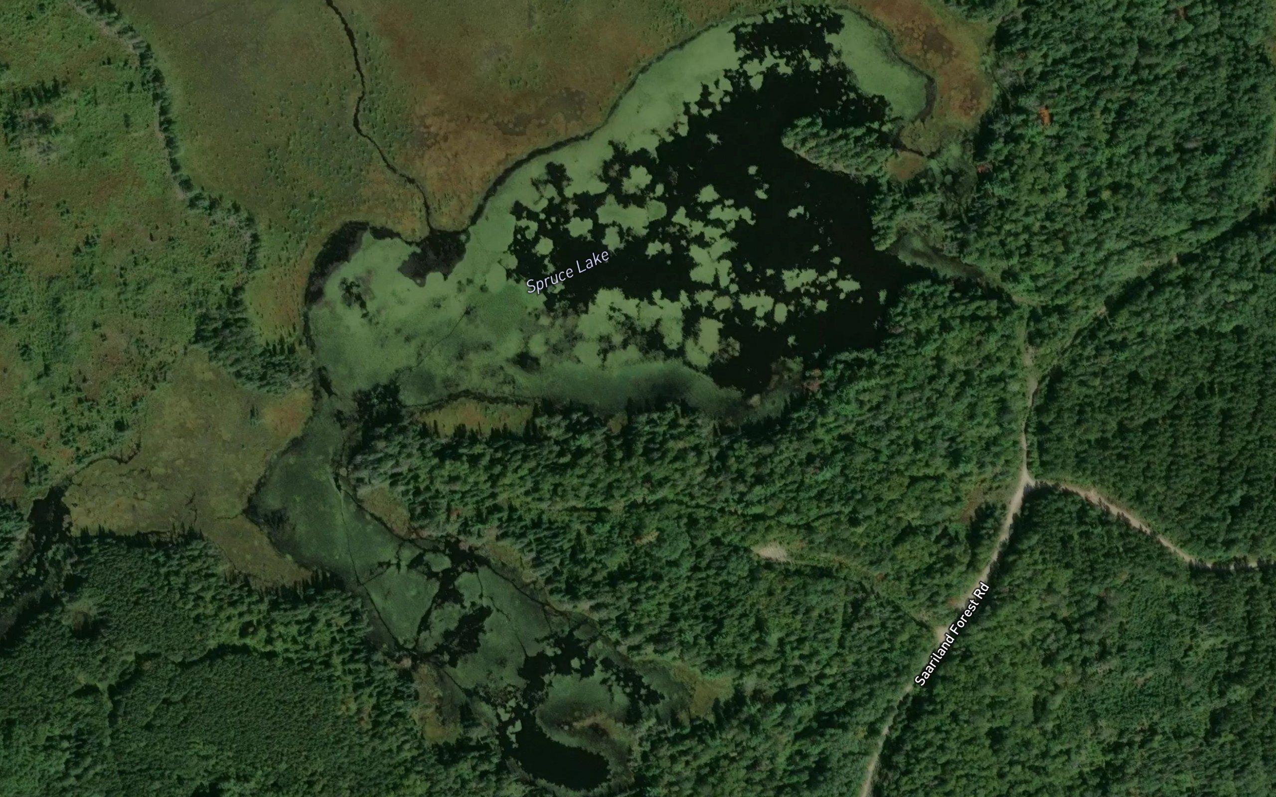 Spruce Lake