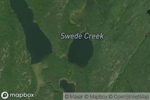 Lineal Creek