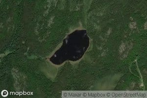 Lac Amoeba