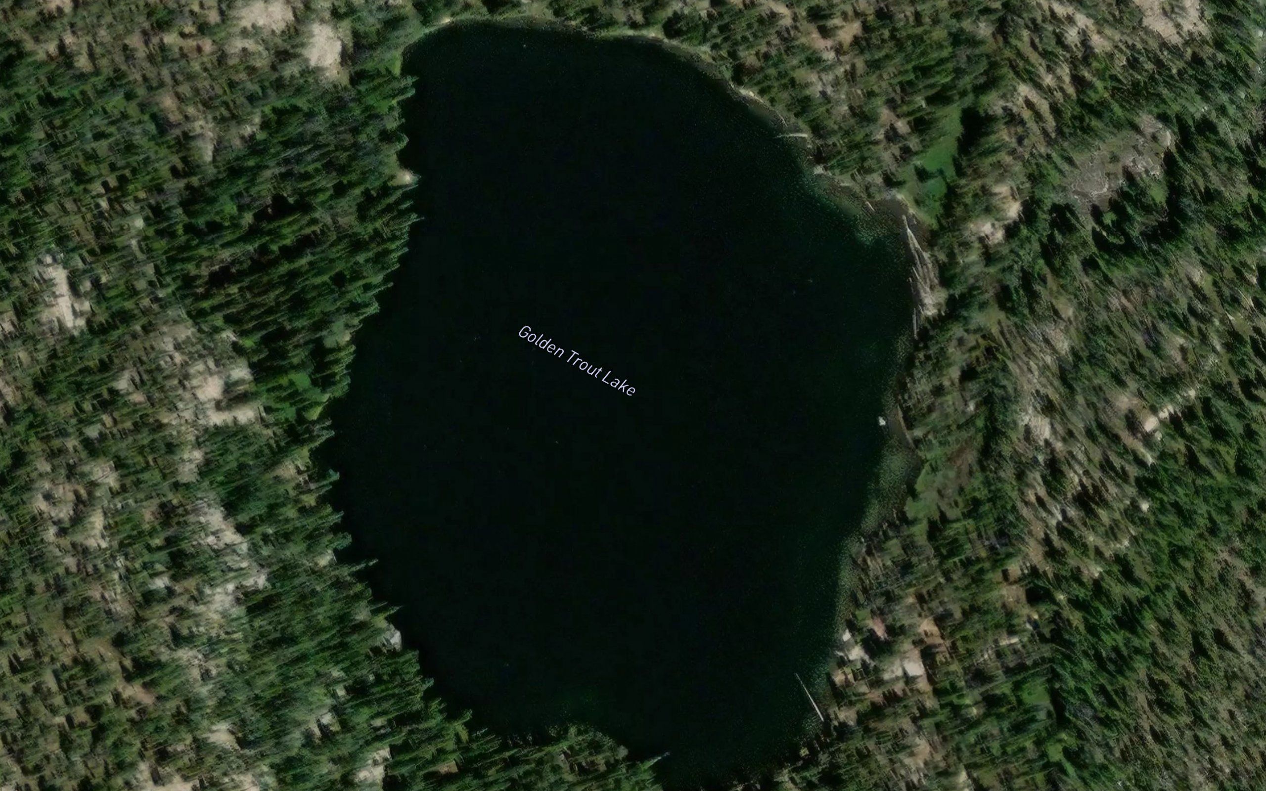 Golden Trout Lake