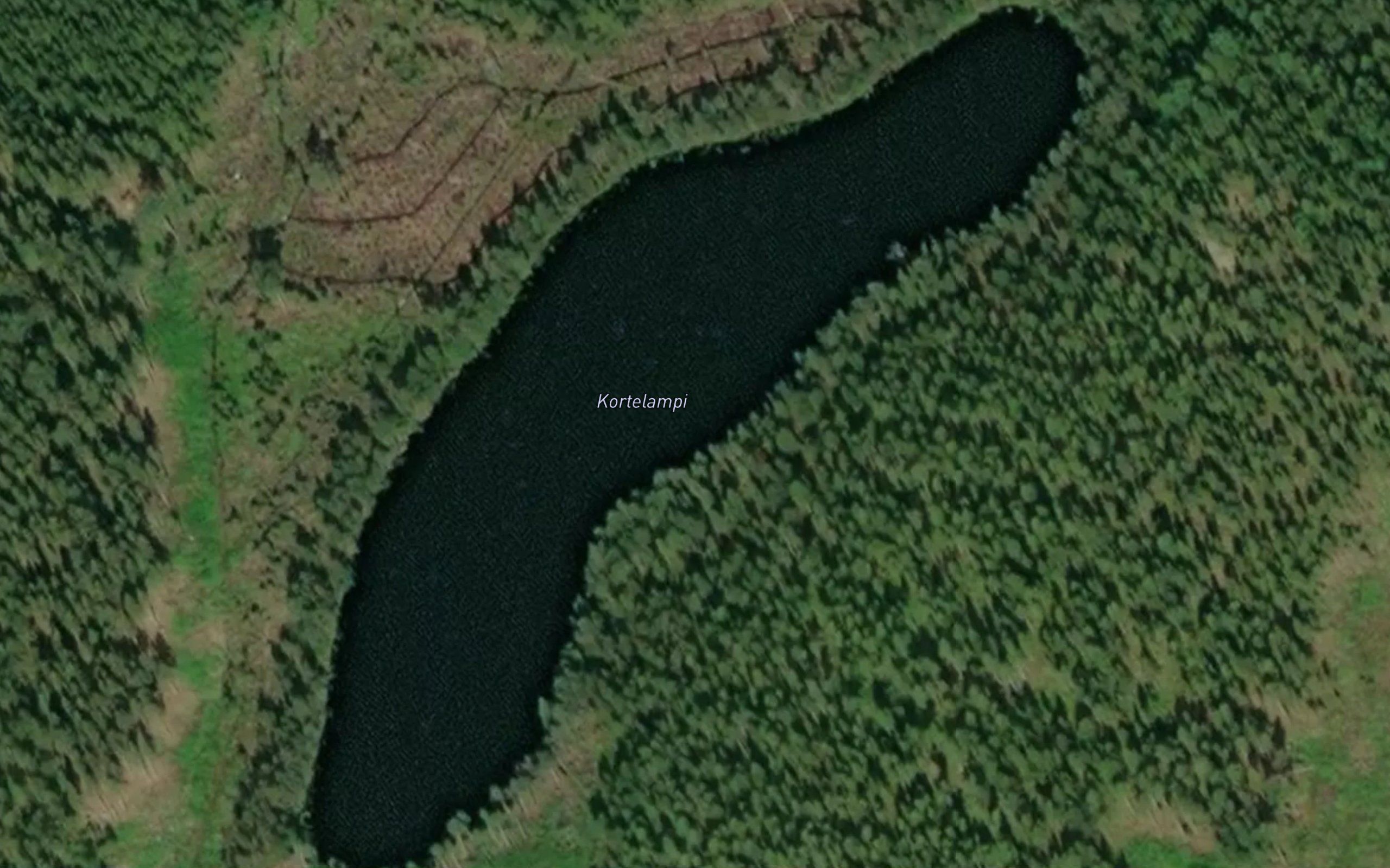 Kortelampi