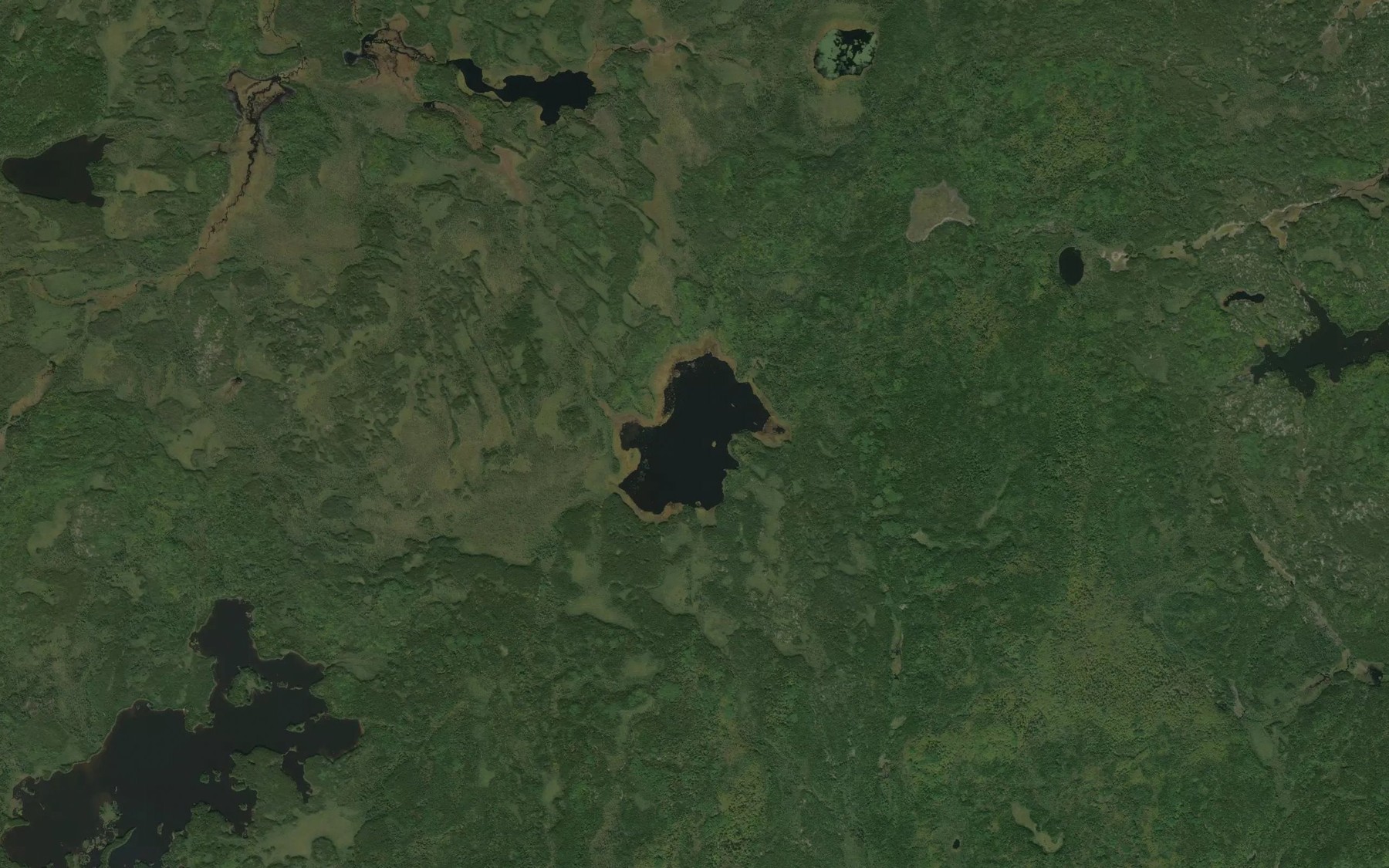 Satellite map of the Goosander Lake