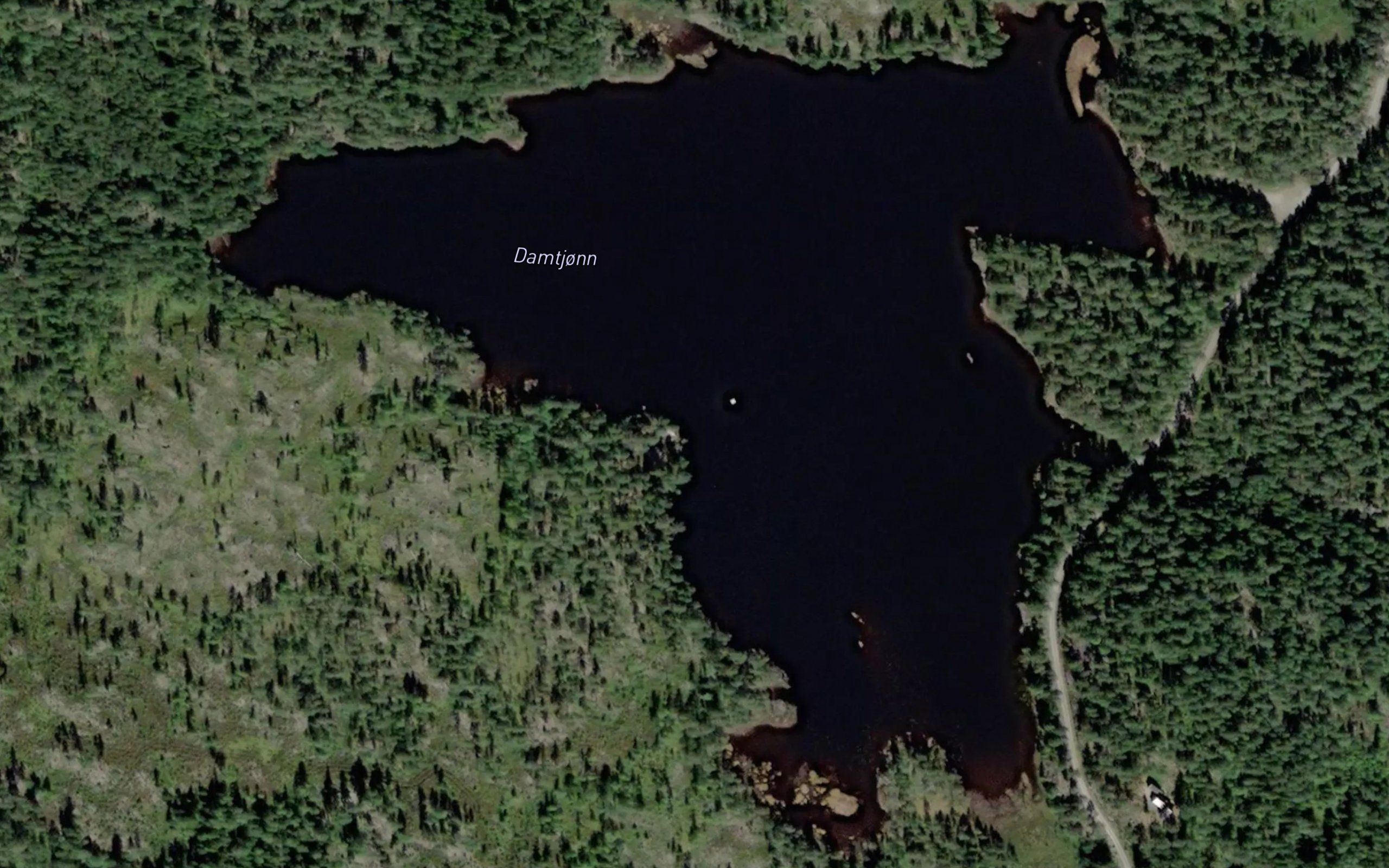 Damtjorn
