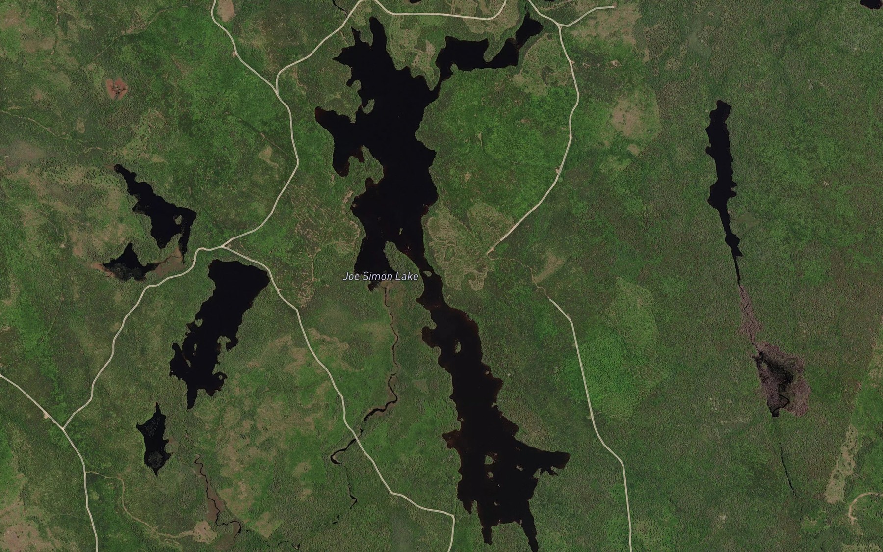 Satellite map of the Joe Simon Lake