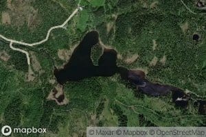 Utgardstjorn