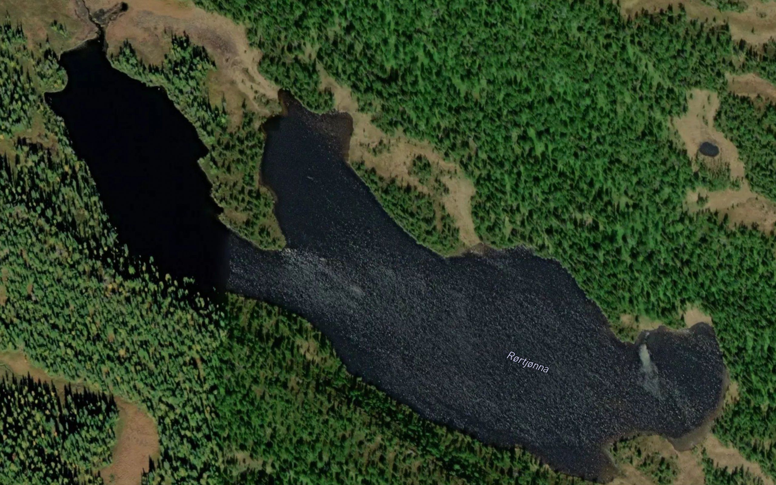 Rortjorna