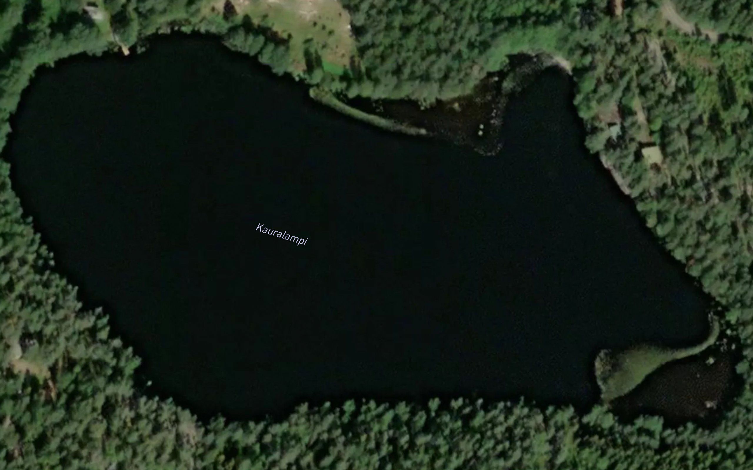 Kauralampi