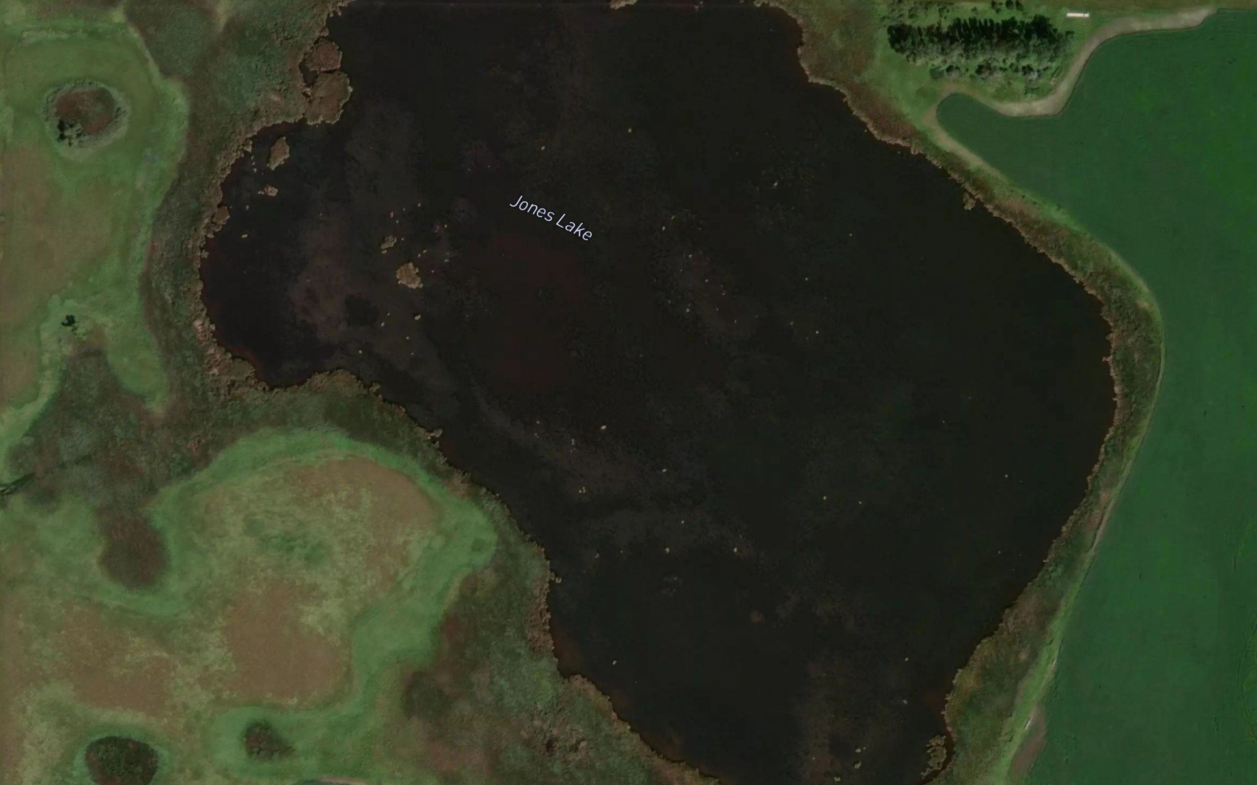 Jones Lake