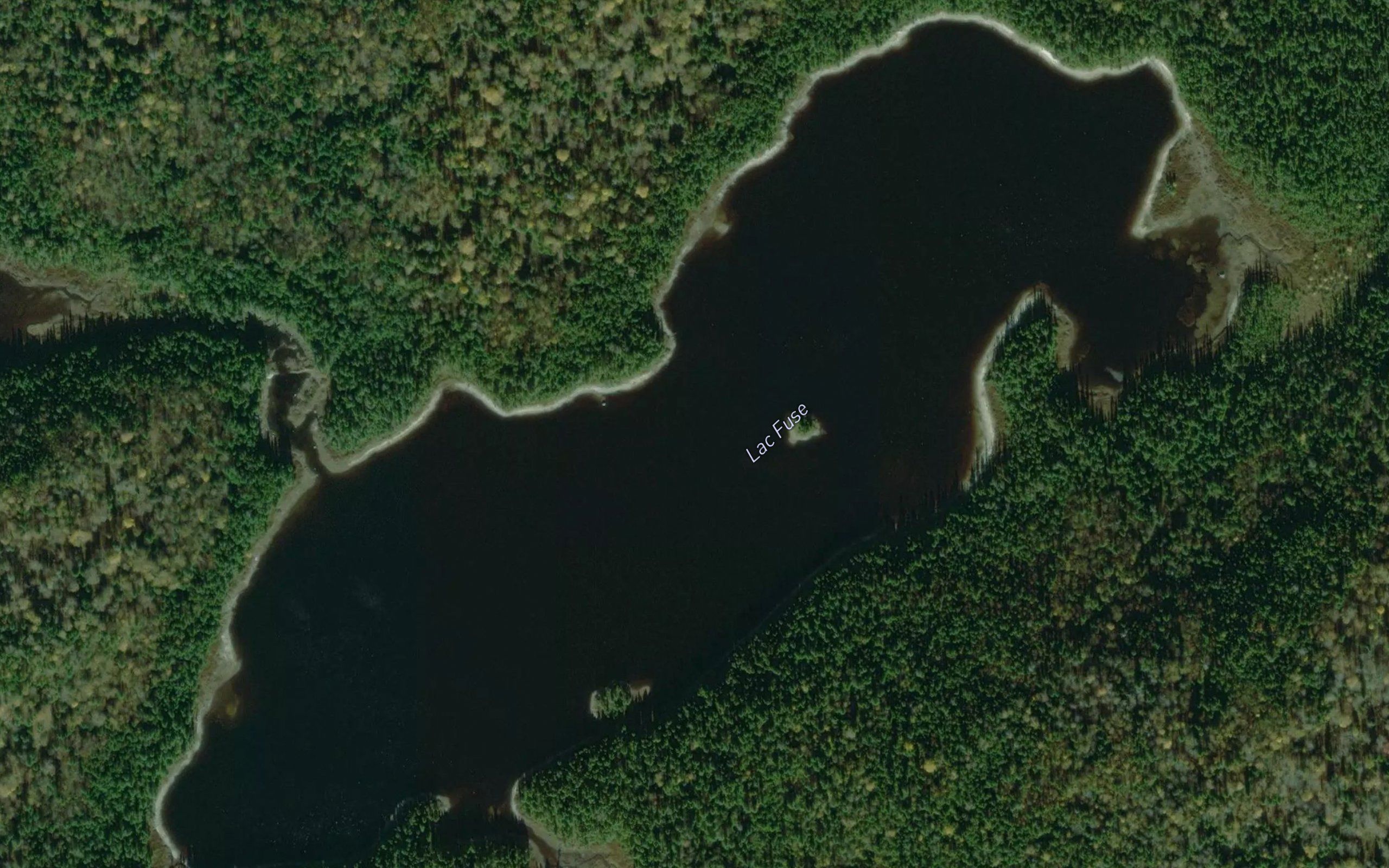 Lac Fuse