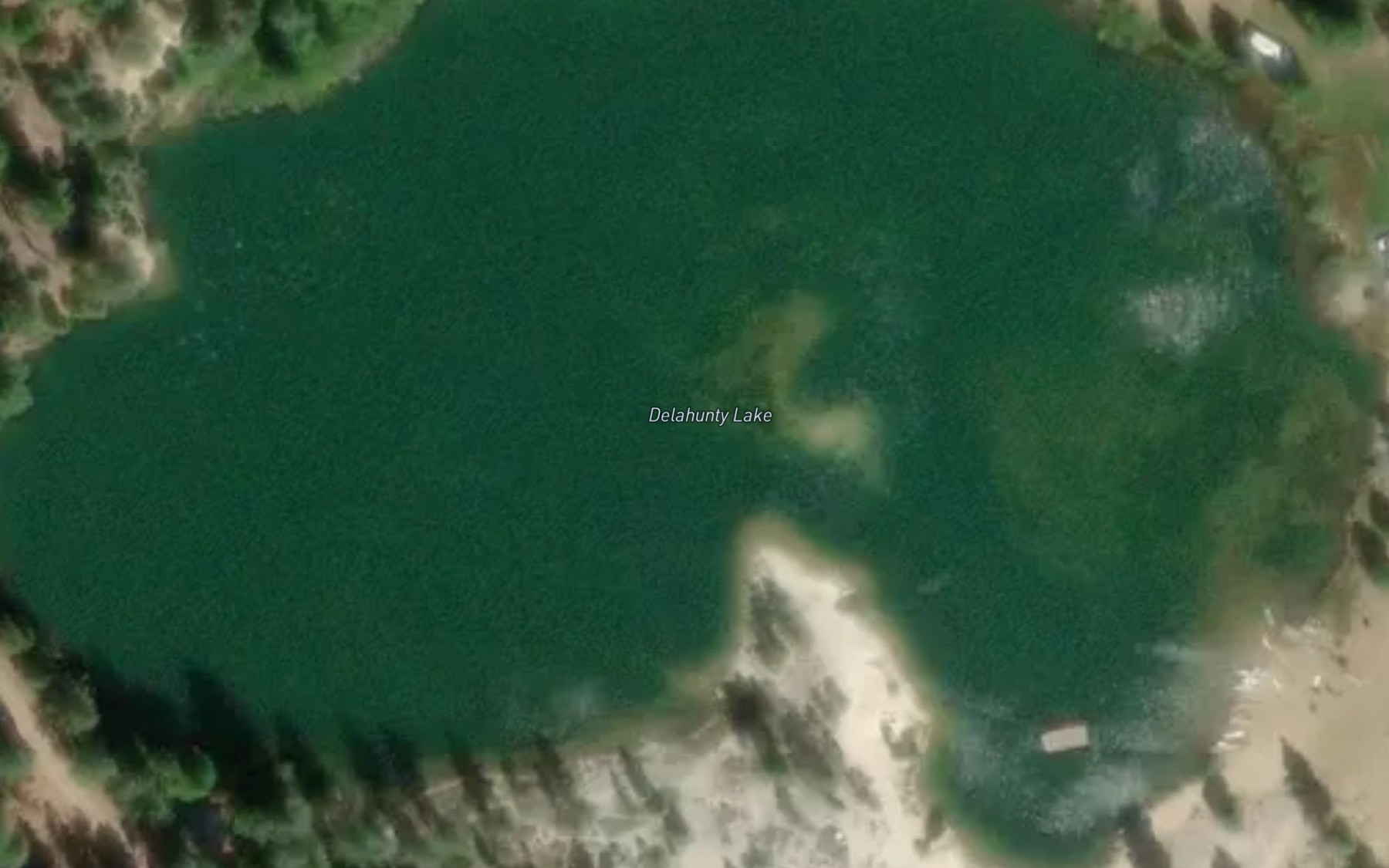 Satellite map of the Delahunty Lake