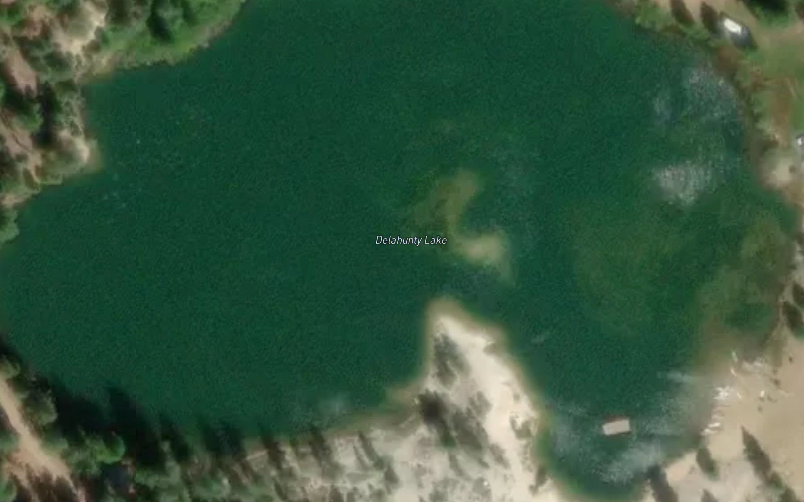 Delahunty Lake
