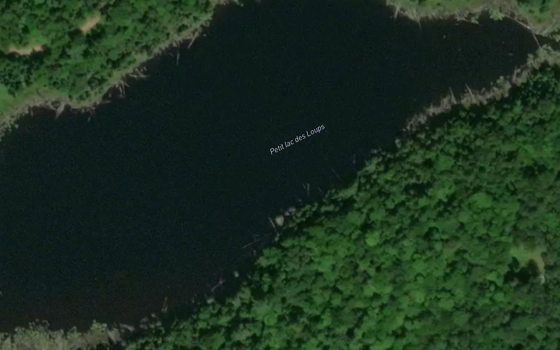 Satellite map of the Petit lac des Loups