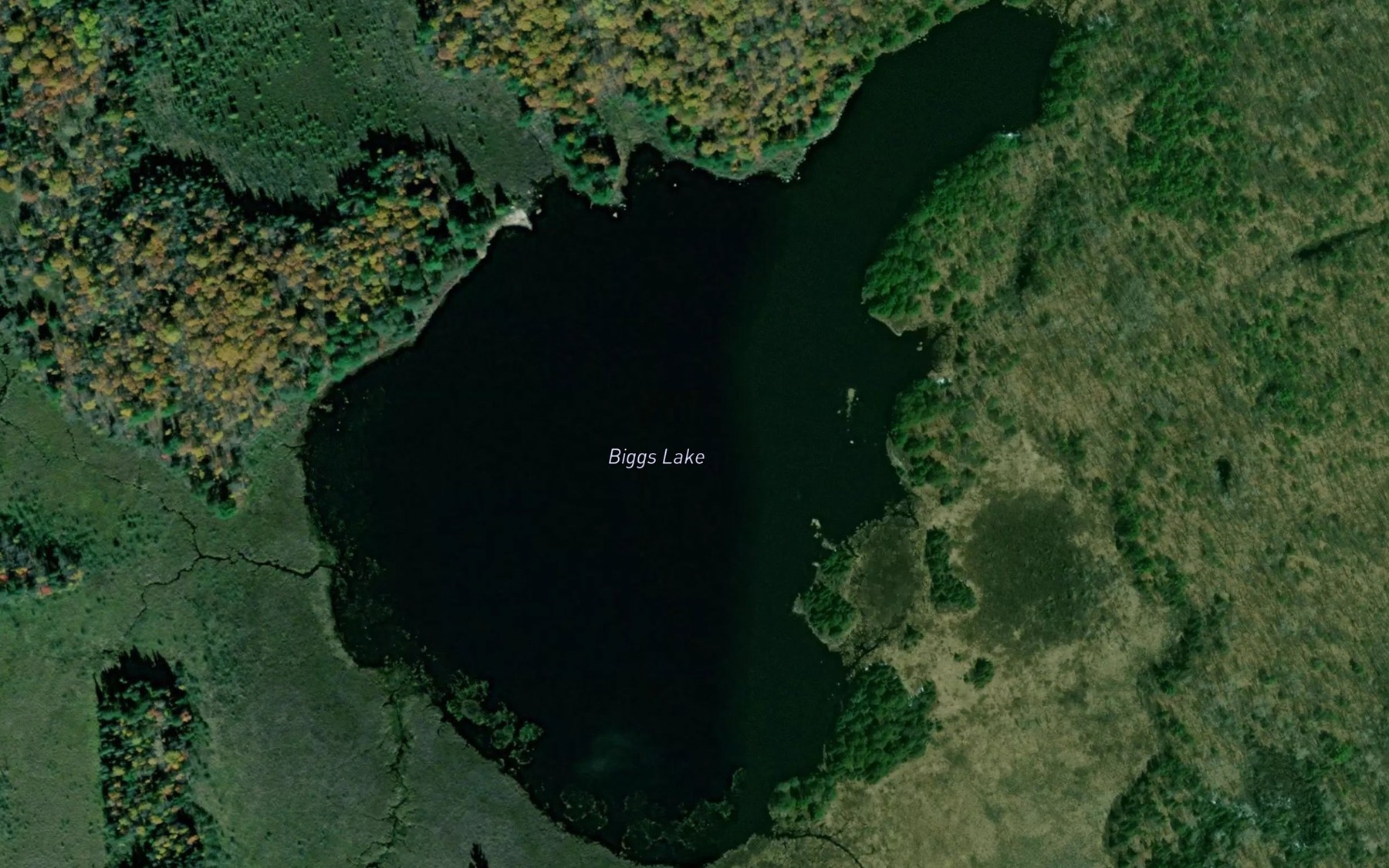 Satellite map of the Biggs Lake