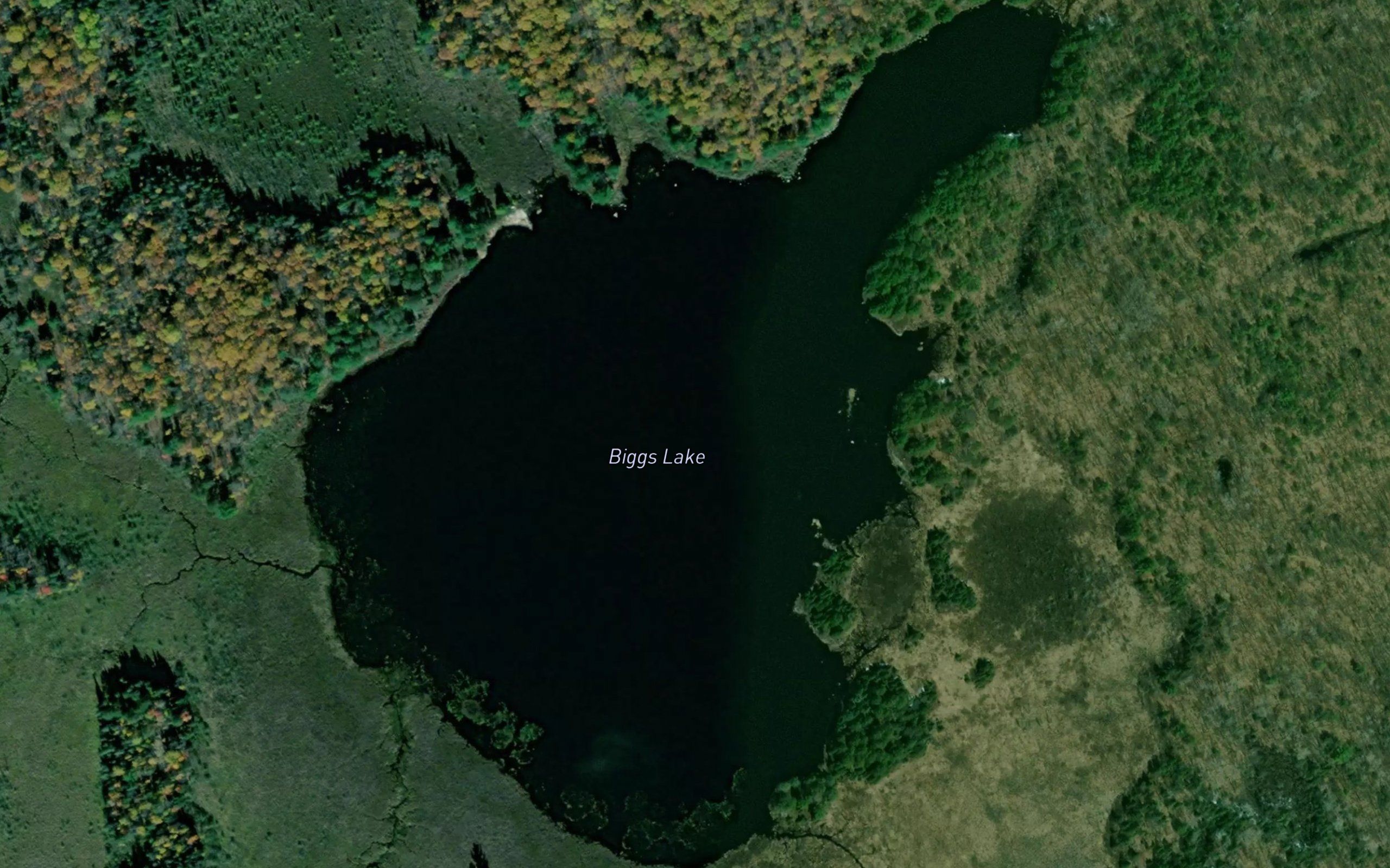 Biggs Lake