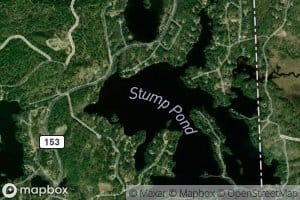 Stump Pond
