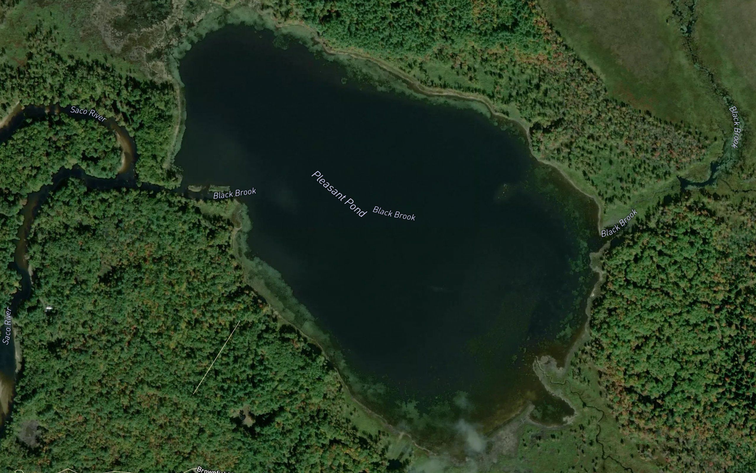 Pleasant Pond