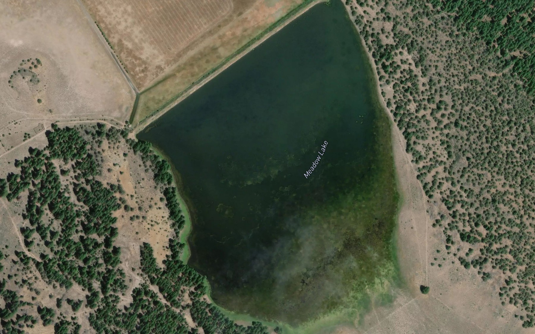 Satellite map of the Meadow Lake