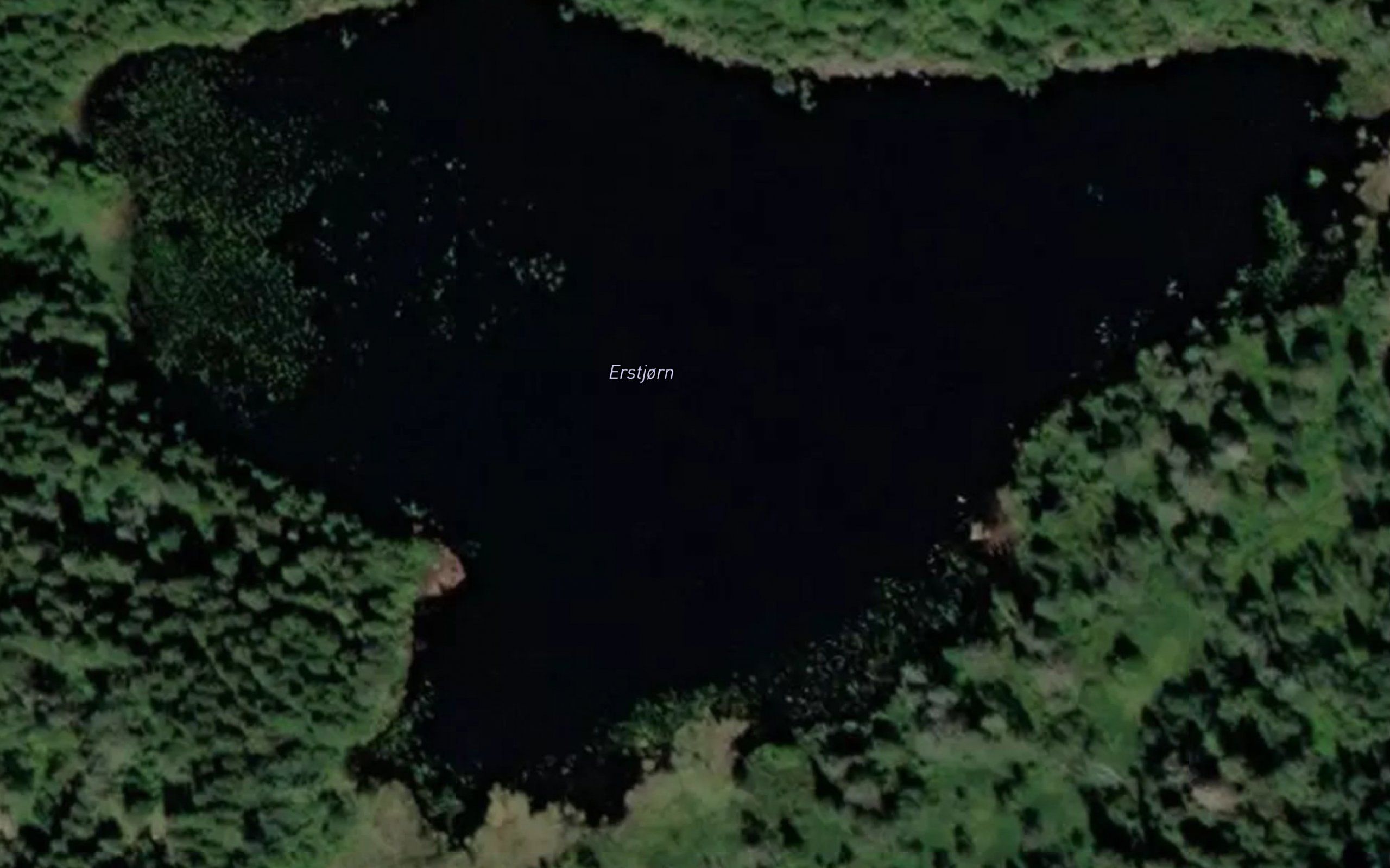 Erstjorn