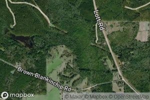 Denmark Spring Branch