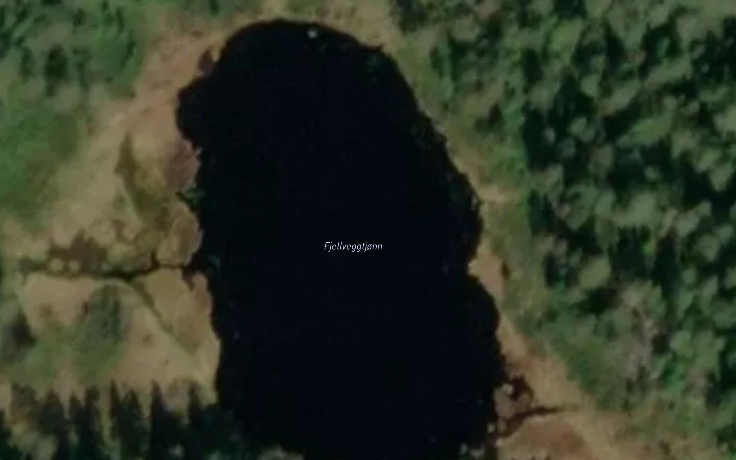 Fjellveggtjonn