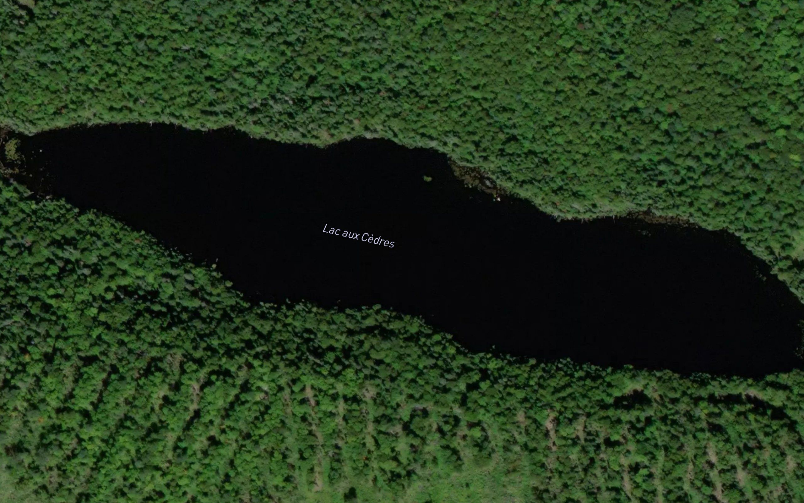 Lac aux Cedres