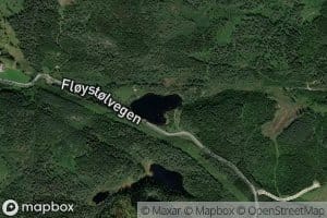 Folltjorn