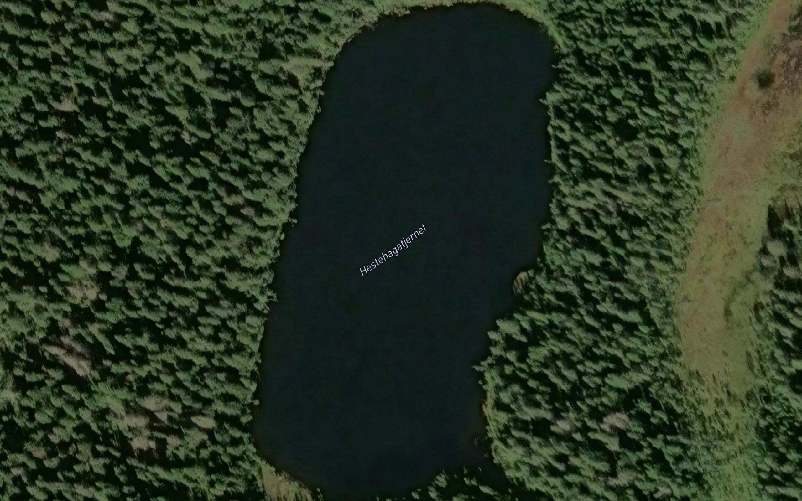 Hestehagatjernet