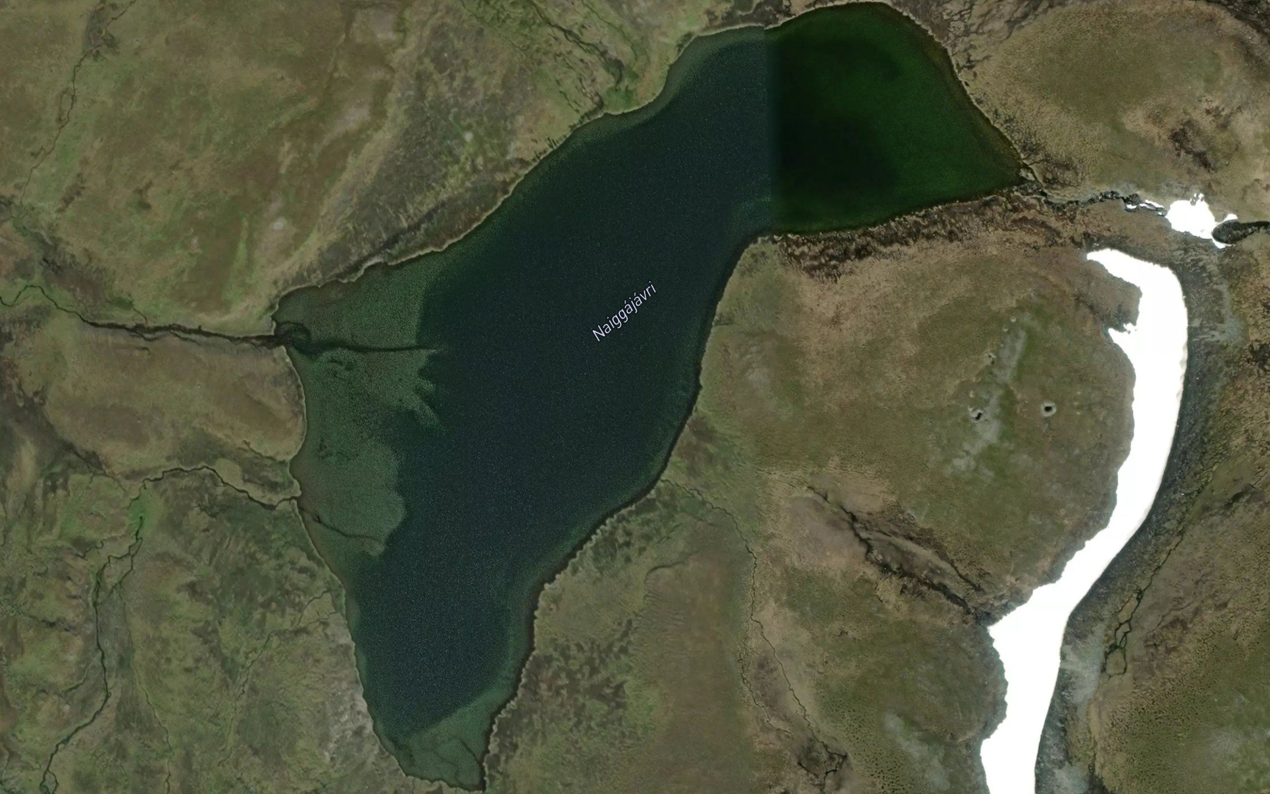 Naiggajavri