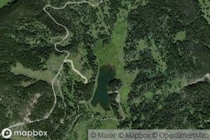 Brown Bear Creek
