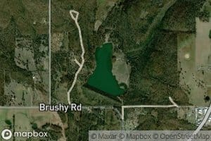 Brushy Lake