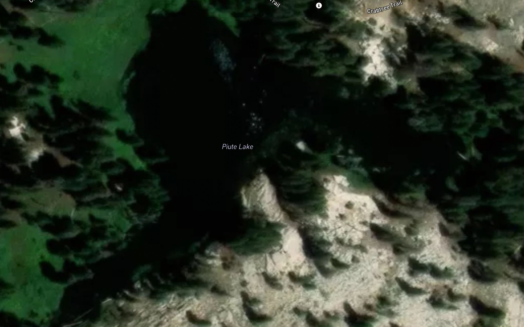 Satellite map of the Piute Lake