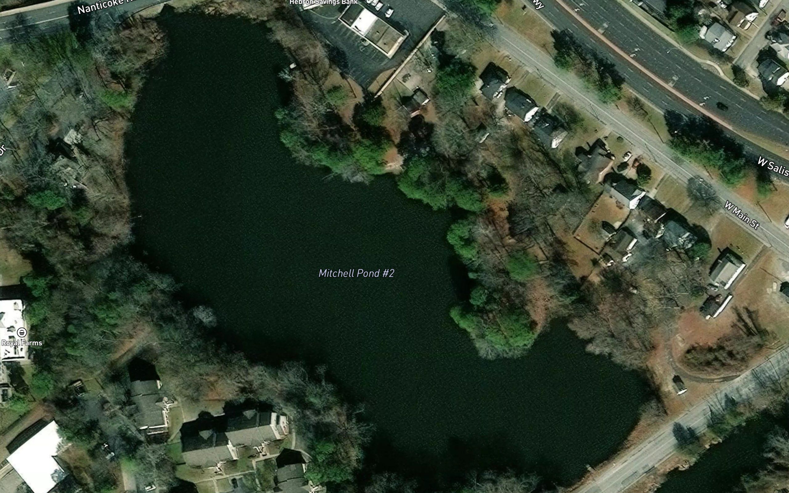 Coty Cox Branch