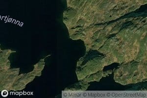 Stortjorna