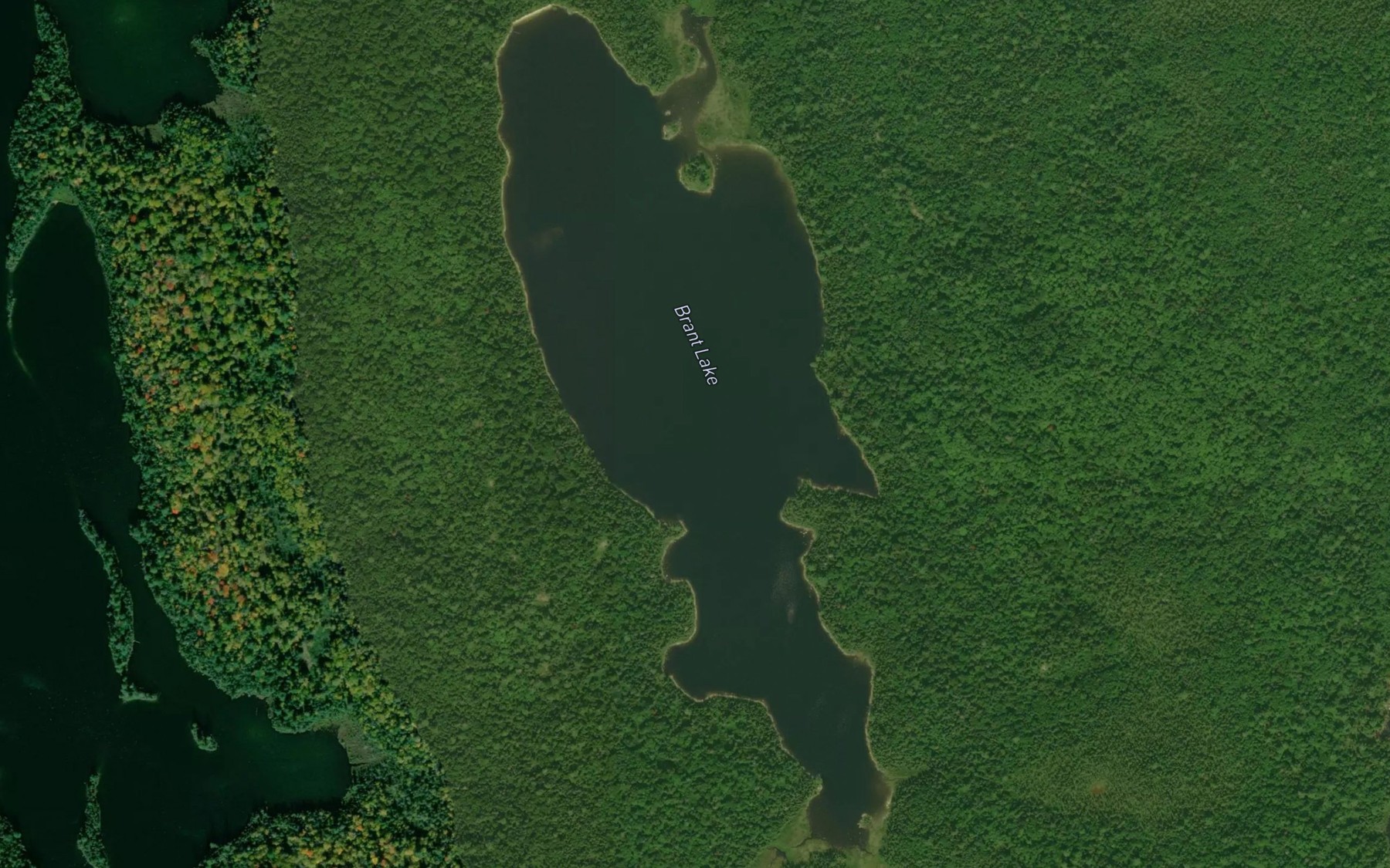 Satellite map of the Brant Lake