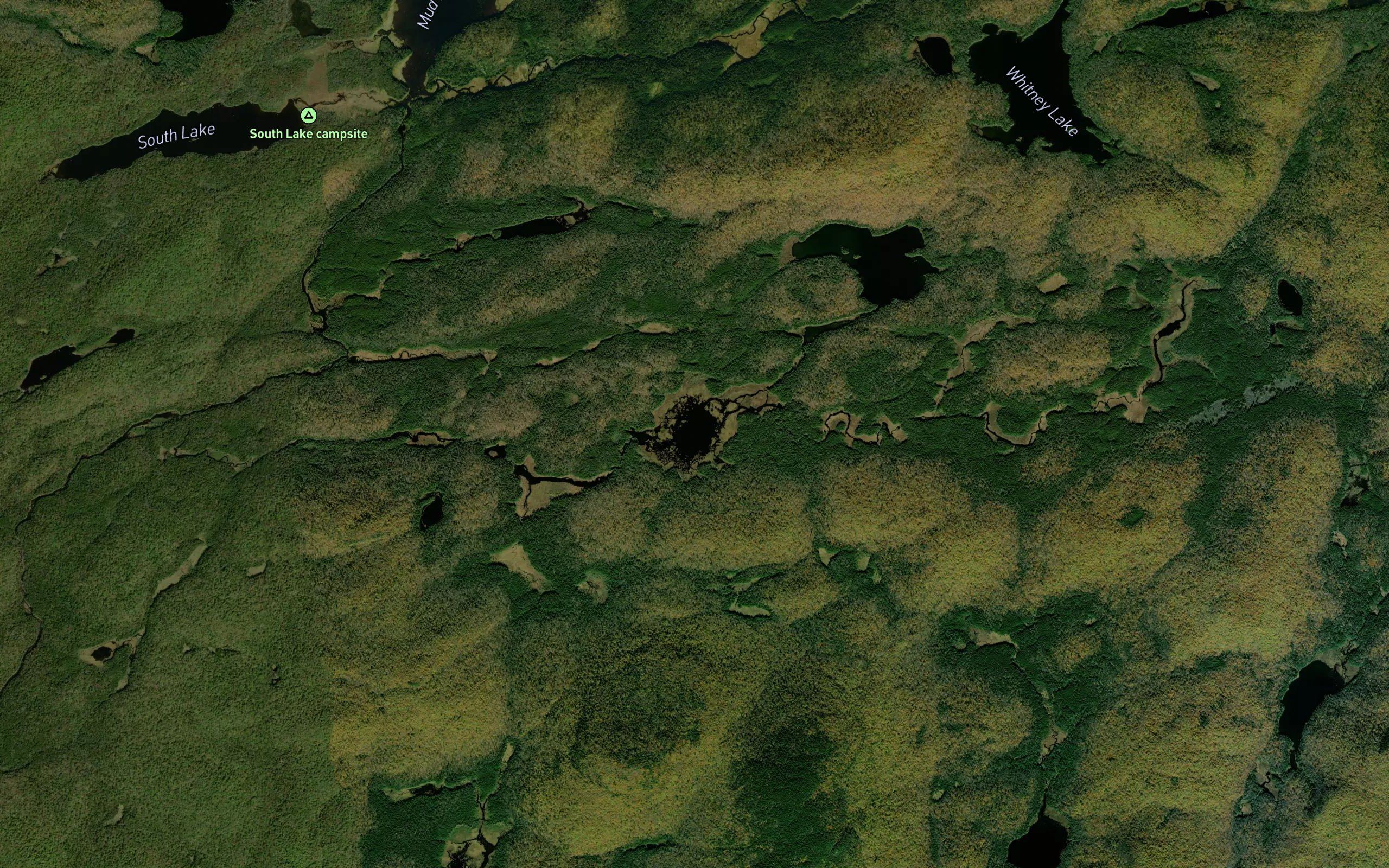 Sampson Bog