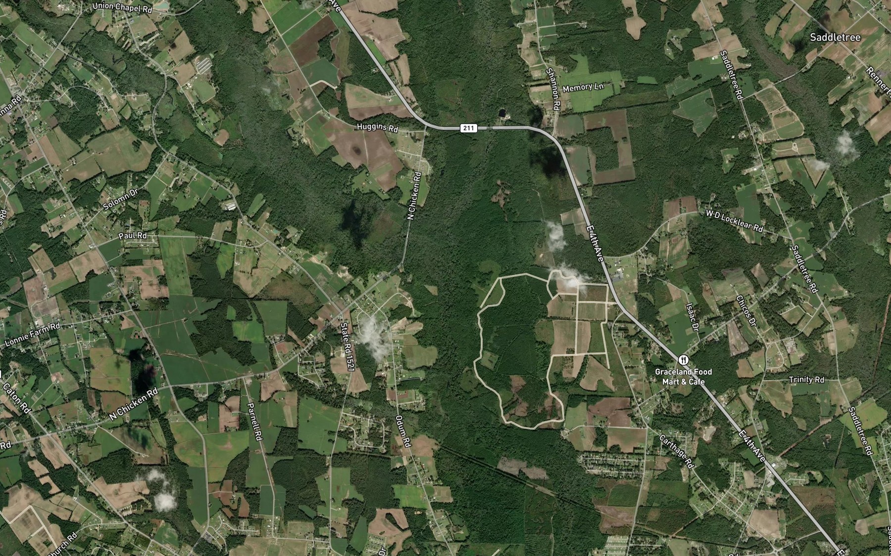 Satellite map of the Richland Swamp