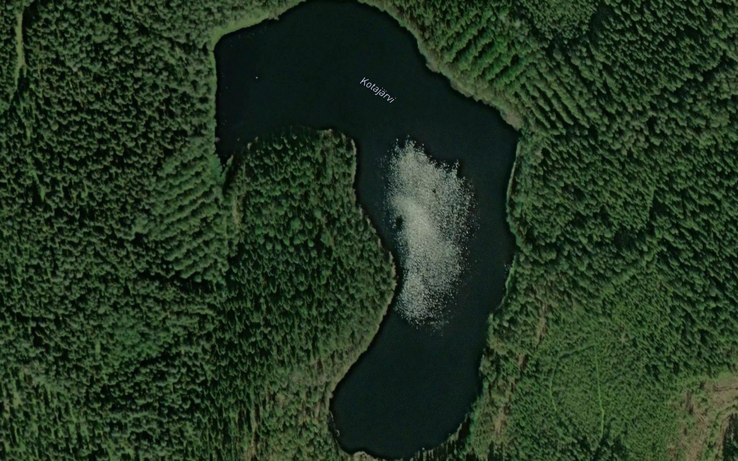 Kotajarvi